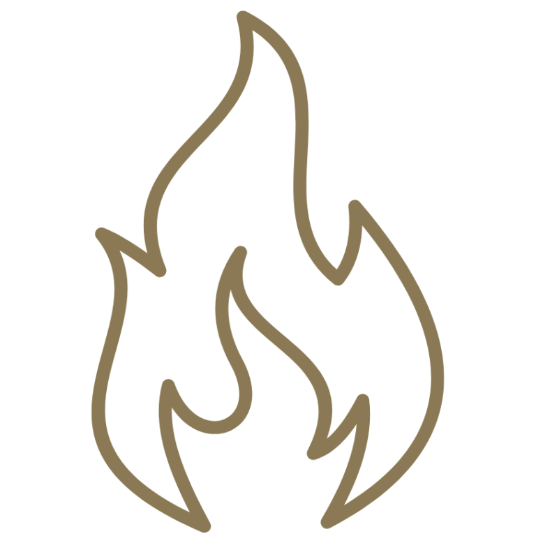 Stylised flame icon in a neutral brown colour.